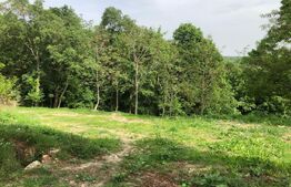 Teren intravilan, parcelat 7600+5700, Manastirea Dealu
