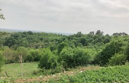 Teren intravilan, parcelat 7600+5700, Manastirea Dealu