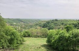 Teren intravilan, parcelat 7600+5700+1400, Manastirea Dealu