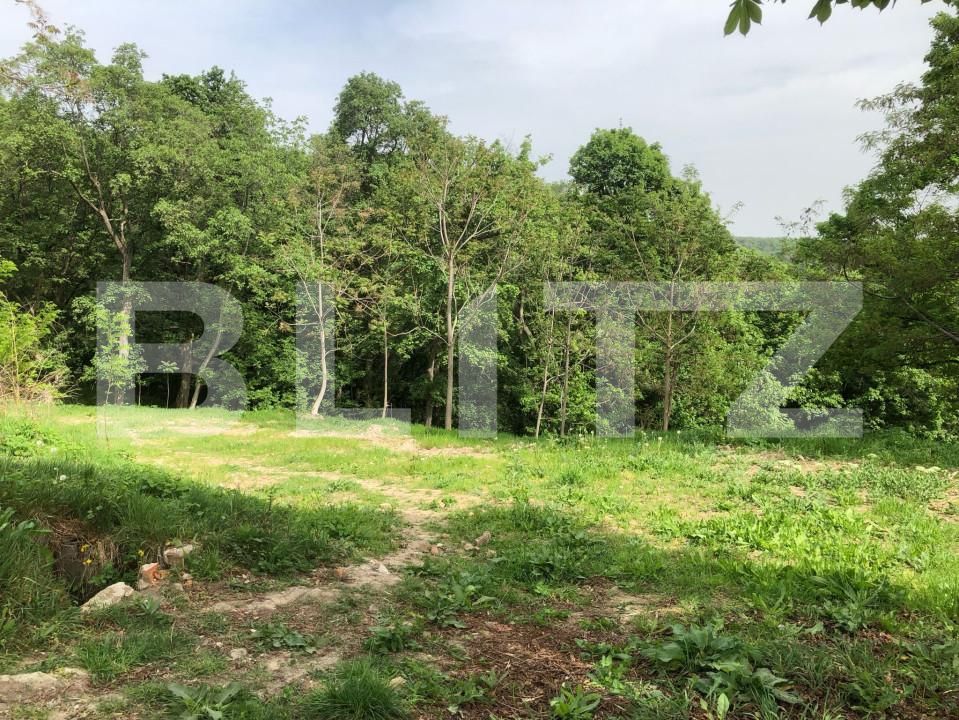 Teren de vânzare Exterior Vest - 139032TV | BLITZ Târgoviște | Poza3