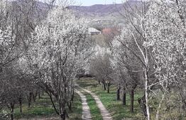 Ofertă casă  Pucioasa 110mp construiti  5286mp teren 