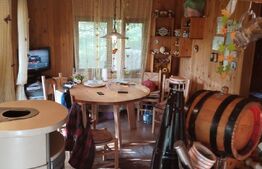 Ofertă casă  Pucioasa 110mp construiti  5286mp teren 