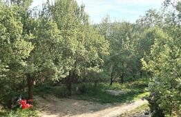 Ofertă casă  Pucioasa 110mp construiti  5286mp teren 