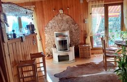 Ofertă casă  Pucioasa 110mp construiti  5286mp teren 