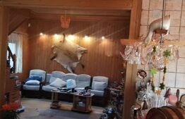 Ofertă casă  Pucioasa 110mp construiti  5286mp teren 