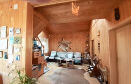 Ofertă casă  Pucioasa 110mp construiti  5286mp teren 