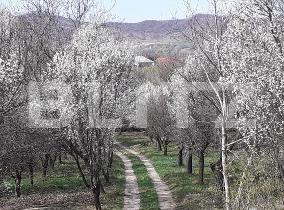 Casa de vânzare 5 camere Exterior Nord - 139176CV | BLITZ Târgoviște | Poza5