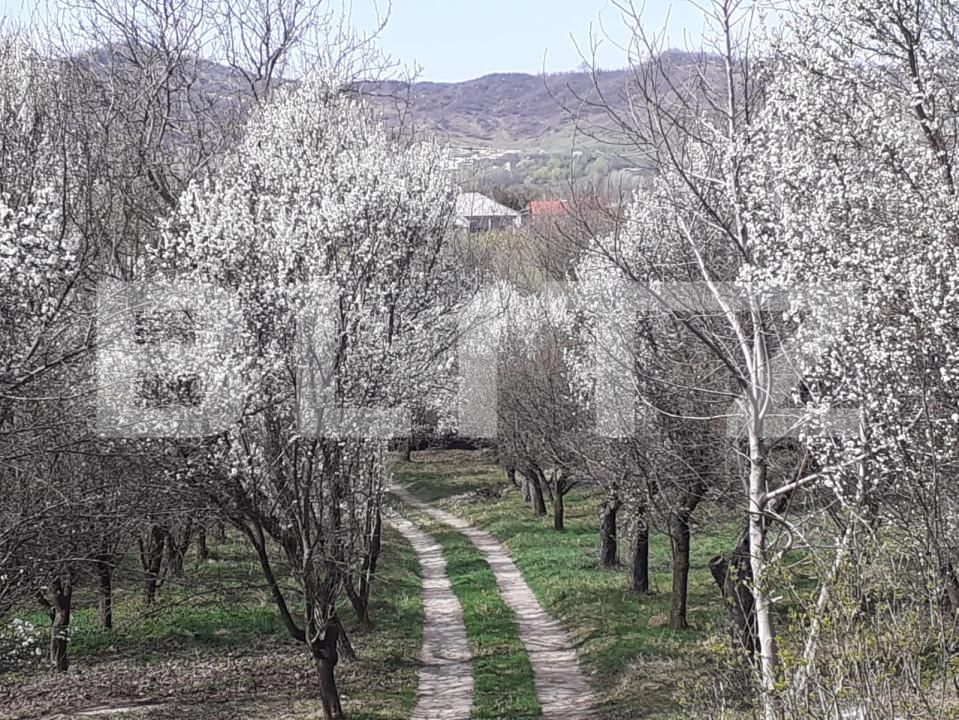 Casa de vânzare 5 camere Exterior Nord - 139176CV | BLITZ Târgoviște | Poza5