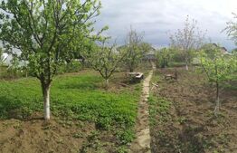 Vila 6 camere cu 3000 mp teren ,Gaesti 