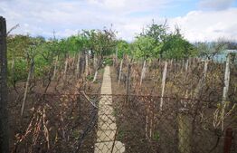 Vila 6 camere cu 3000 mp teren ,Gaesti 