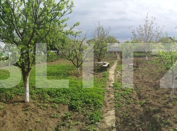 Casa de vânzare 6 camere Găeşti - 139323CV | BLITZ Târgoviște | Poza6