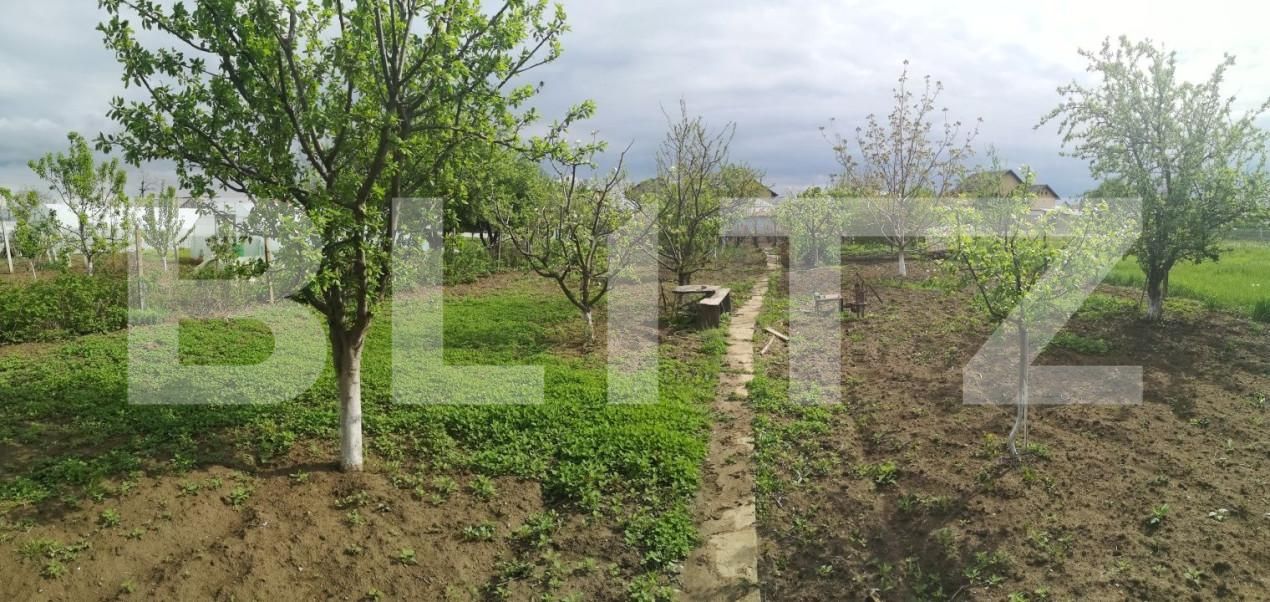 Casa de vânzare 6 camere Găeşti - 139323CV | BLITZ Târgoviște | Poza6