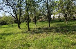 Casa individuala  4 camere, teren 4400 mp , Lazuri 