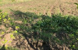 Casa individuala  4 camere, teren 4400 mp , Lazuri 