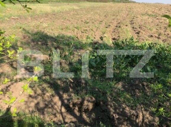 Casa de vânzare 4 camere Lazuri - 139419CV | BLITZ Târgoviște | Poza9