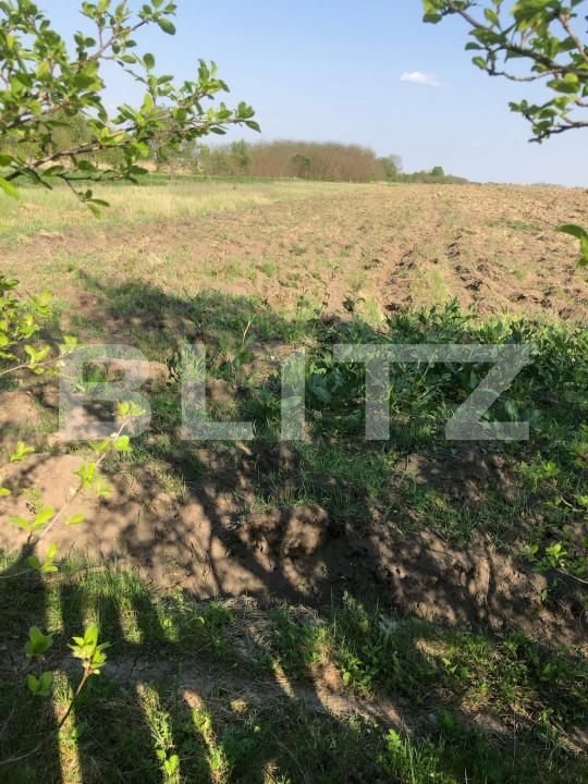 Casa de vânzare 4 camere Lazuri - 139419CV | BLITZ Târgoviște | Poza9