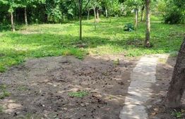 Casa individuala, 3 camere, 113mp, teren 1080mp, zona Aninoasa