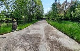 Vila 6 camere,241 mp utili +5813 teren, 17 km Targoviste 