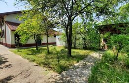 Vila 6 camere,241 mp utili +5813 teren, 17 km Targoviste 