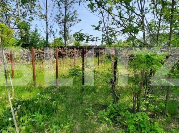 Casa de vânzare 6 camere Sud-Vest - 141008CV | BLITZ Târgoviște | Poza3