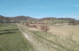 Teren intravilan cu suprafață de 9ha, Aninoasa