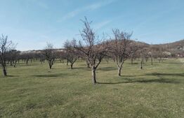 Teren intravilan cu suprafață de 9ha, Aninoasa