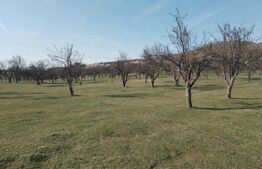 Teren intravilan cu suprafață de 9ha, Aninoasa