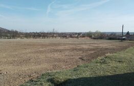 Teren intravilan cu suprafață de 9ha, Aninoasa