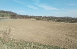 Teren intravilan cu suprafață de 9ha, Aninoasa