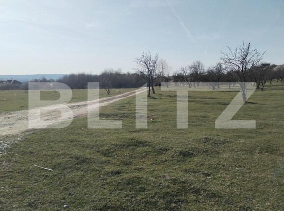 Teren de vânzare Aninoasa - 141233TV | BLITZ Târgoviște | Poza2