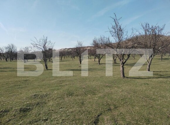 Teren de vânzare Aninoasa - 141233TV | BLITZ Târgoviște | Poza3