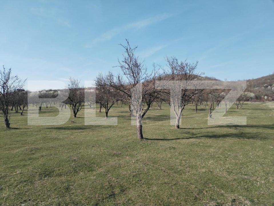 Teren de vânzare Aninoasa - 141233TV | BLITZ Târgoviște | Poza7