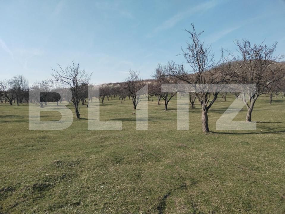 Teren de vânzare Aninoasa - 141233TV | BLITZ Târgoviște | Poza3