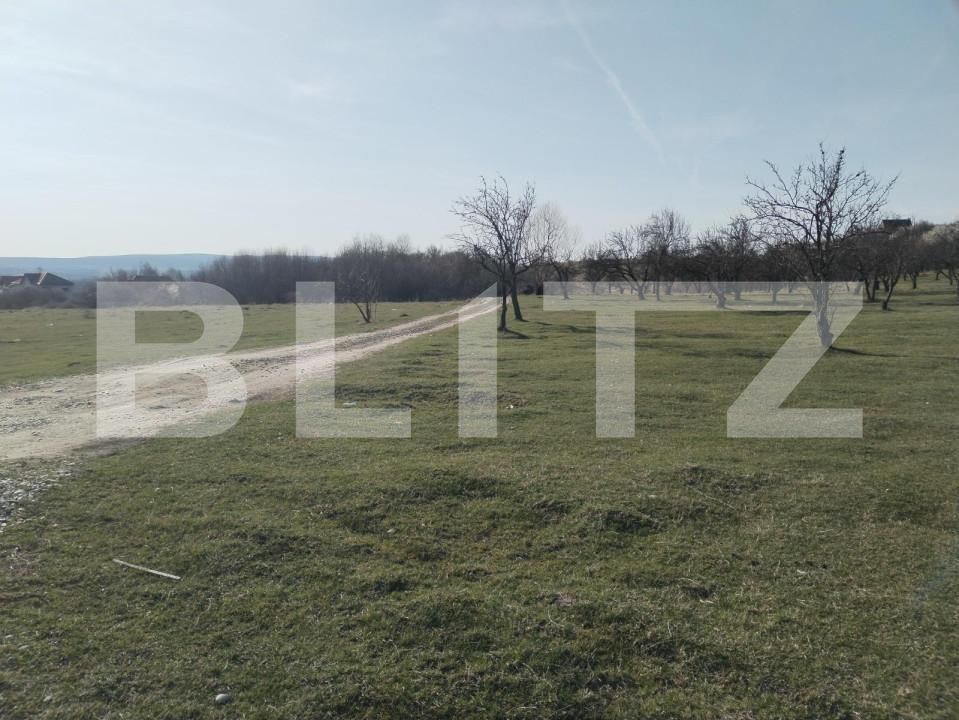 Teren de vânzare Aninoasa - 141233TV | BLITZ Târgoviște | Poza2