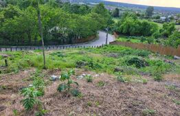 Teren intravilan Aleea Manastirii 1295mp