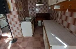Casa individuală 140mp utili, 300mp teren Sacueni