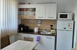 Casa familială renovată, 2 camere, 60mp, teren 320mp, Central