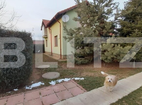 Casa de vânzare 5 camere Sud - 141243CV | BLITZ Târgoviște | Poza19