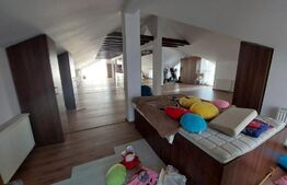 Casa individuala, 520 mp. teren 1000 mp.Aleea Manastirii Dealu