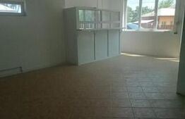 Spatiu comercial, 100mp, Dragodana