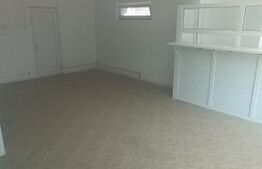 Spatiu comercial, 100mp, Dragodana