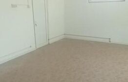 Spatiu comercial, 100mp, Dragodana