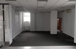 Spatiu comercial, 800 mp, Fieni