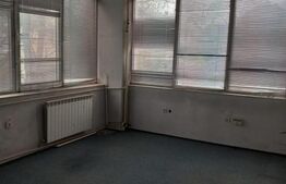 Spatiu comercial, 800 mp, Fieni