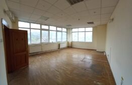 Spatiu comercial, 800 mp, Fieni