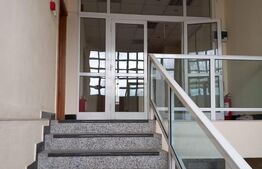 Spatiu comercial, 800 mp, Fieni