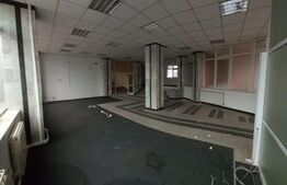 Spatiu comercial, 800 mp, Fieni