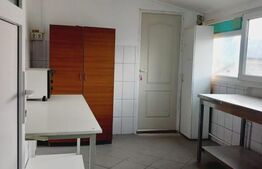 Spatiu comercial, 220mp, Pucioasa