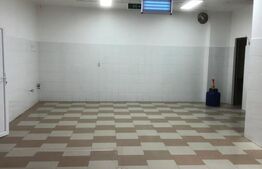 Spațiul comercial 180 mp, zona centrală