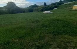 Teren intravilan, 1400 mp, Aleea manastirii